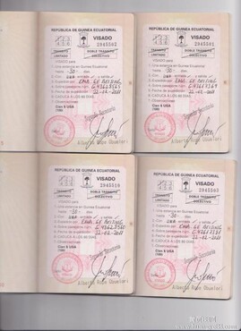 【北京赤道几内亚签证最快几天出签】_赤道几